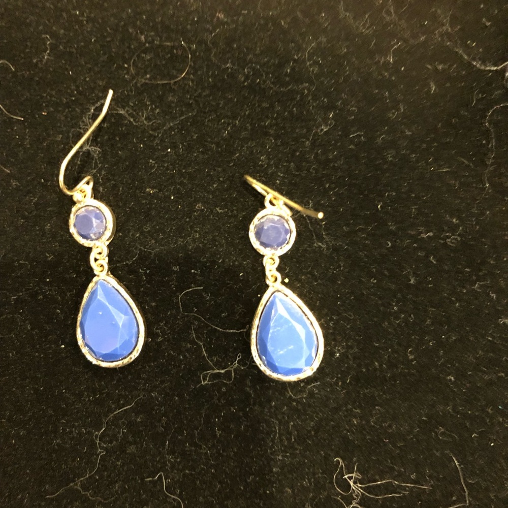 Blue small drop earrings